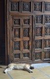 Peace in the church gate