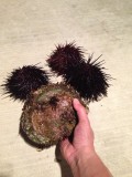 2013-04-20 20:47