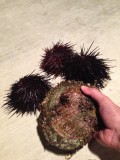 2013-04-20 20:47