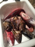 2013-10-27 23:08
