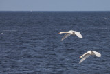 IMG_7025.jpg