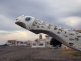 La Araña