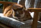SIL00010 Sunbath Bath