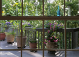 Kitchen Window View