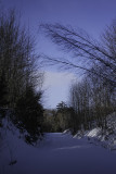Chemin de fer / Railway