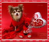 Happy Valentine's Day 2015