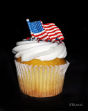 Happy Fouth of July 2015