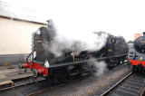 44422 in steam.