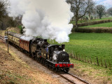 65462 and 80136 in Leigh Woods.