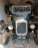 UN36.