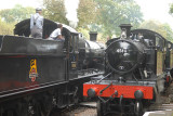 4566 arrives at Crowcombe Heathfield.