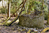 Ruin in the woods.