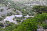Switchback curve