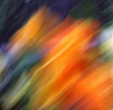 Abstracts