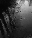 Monochrome