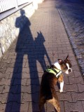 Shadows