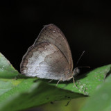 IMG_4243.JPG