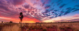 Kata-Tjuta Sunset