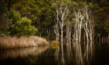 Mawbanna, Tasmania