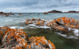 Rocky Cape National Park, Tasmania