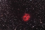 The Cocoon Nebula in Cygnus