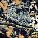 Why do you seek council mortal? By Hawk, February, 2017