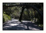 16 3 10 001 Near Cerro Alto Campground