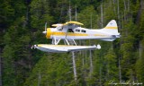 N88G, DHC-2 Beaver, Eaglenook Resort, Vancouver Island, Canada