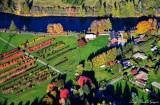 Tree farm, SE David Powell Rd, Snoqualmie River, Fall City