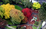 small park Seattle