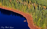fall on lake