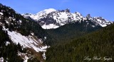 Cowlitz Chimmeys, Mount Rainier National Park, Cascade Mountains, Washington