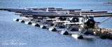 Beaver Floatplanes, BOPA, Dent Island Lodge, Canada