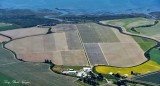 Farm on Fir Island, Skagit Valley, Skagit River, Washington