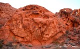 Half Dome of Valley of Fire State Park Nevada 711
