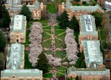 University of Washington Spring Time on Campus Seattle Washington 113a