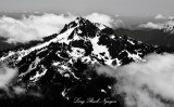 The Brothers Olympic National Park Washington 357