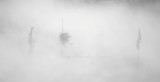Hidden in Fog 505