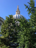 St. Paul's through the trees