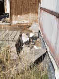 trailer_park_before