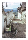 1979