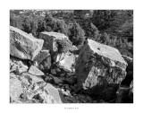 Lo Tormasal · Rossell