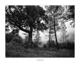 Sant Domingo · Vallibona