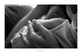 24/08/2016 · 17 dies