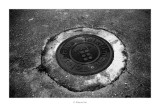 FP4_BESSA004.jpg