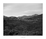 Mas del Coll