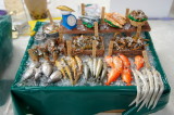 DSC04339c.jpg