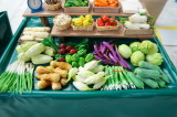 DSC04335c.jpg