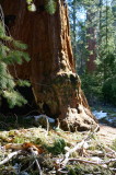 DSC00921c.jpg