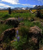 06 June 2014 136-edited.jpg